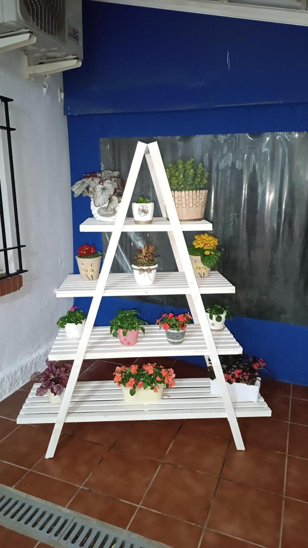 Camping Torremolinos Eksteriør billede
